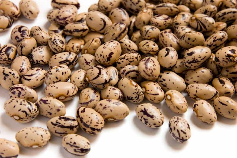 قیمت لوبیا چیتی خشکپاک + خرید باور نکردنی